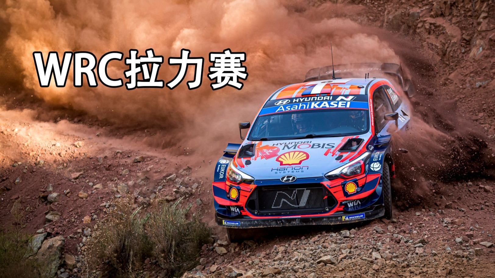 九游娱乐官网-WRC赛道环境：如何适应不同地形？