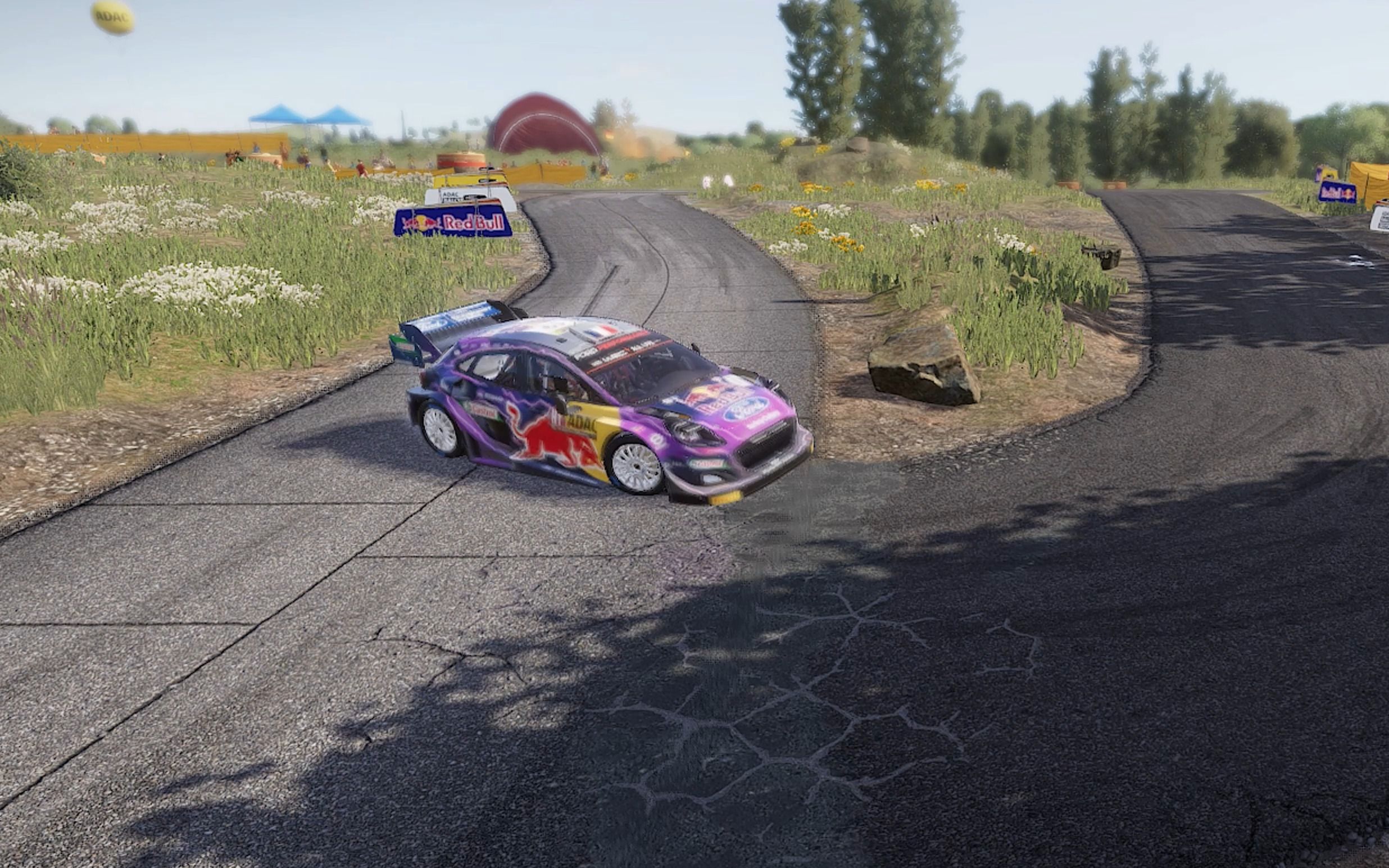 WRC赛道环境：如何适应不同地形？