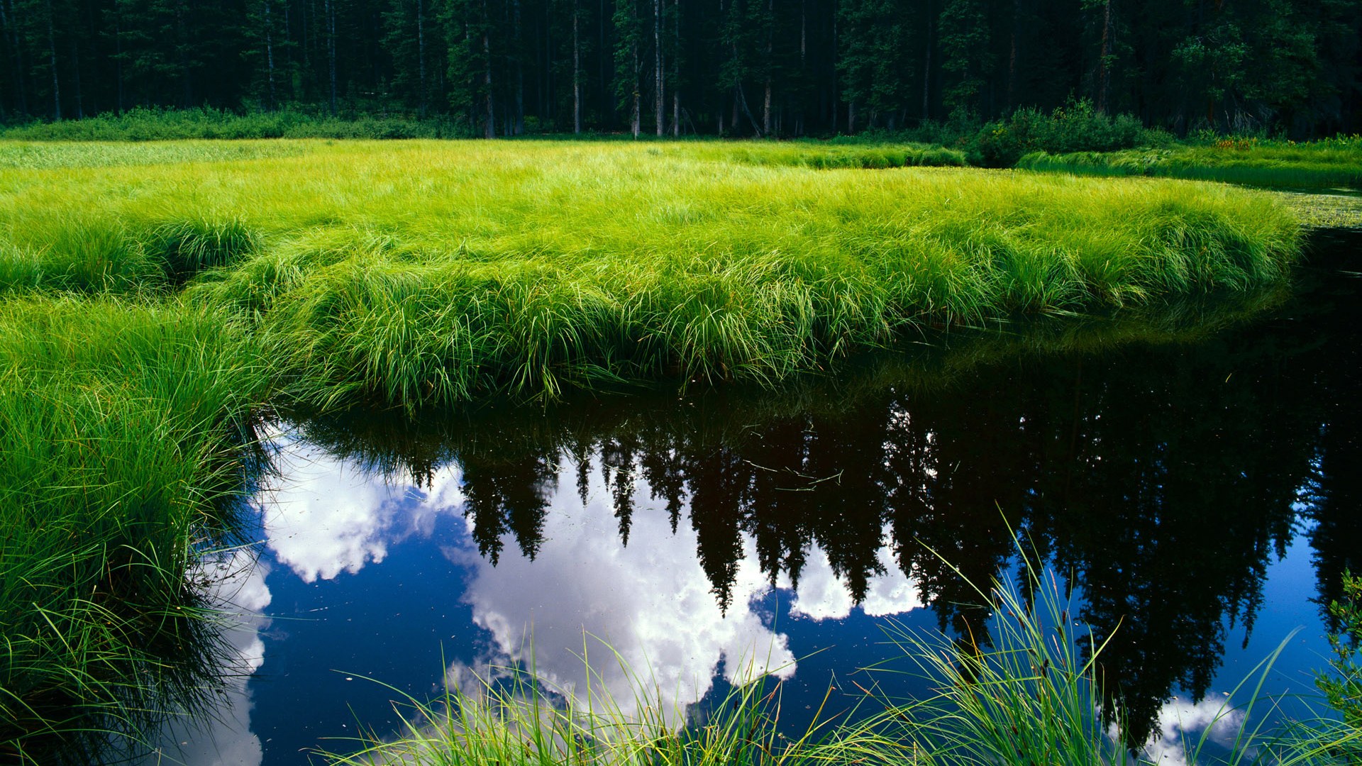 LCS夏季赛赛程公布,lcs夏季赛赛程表