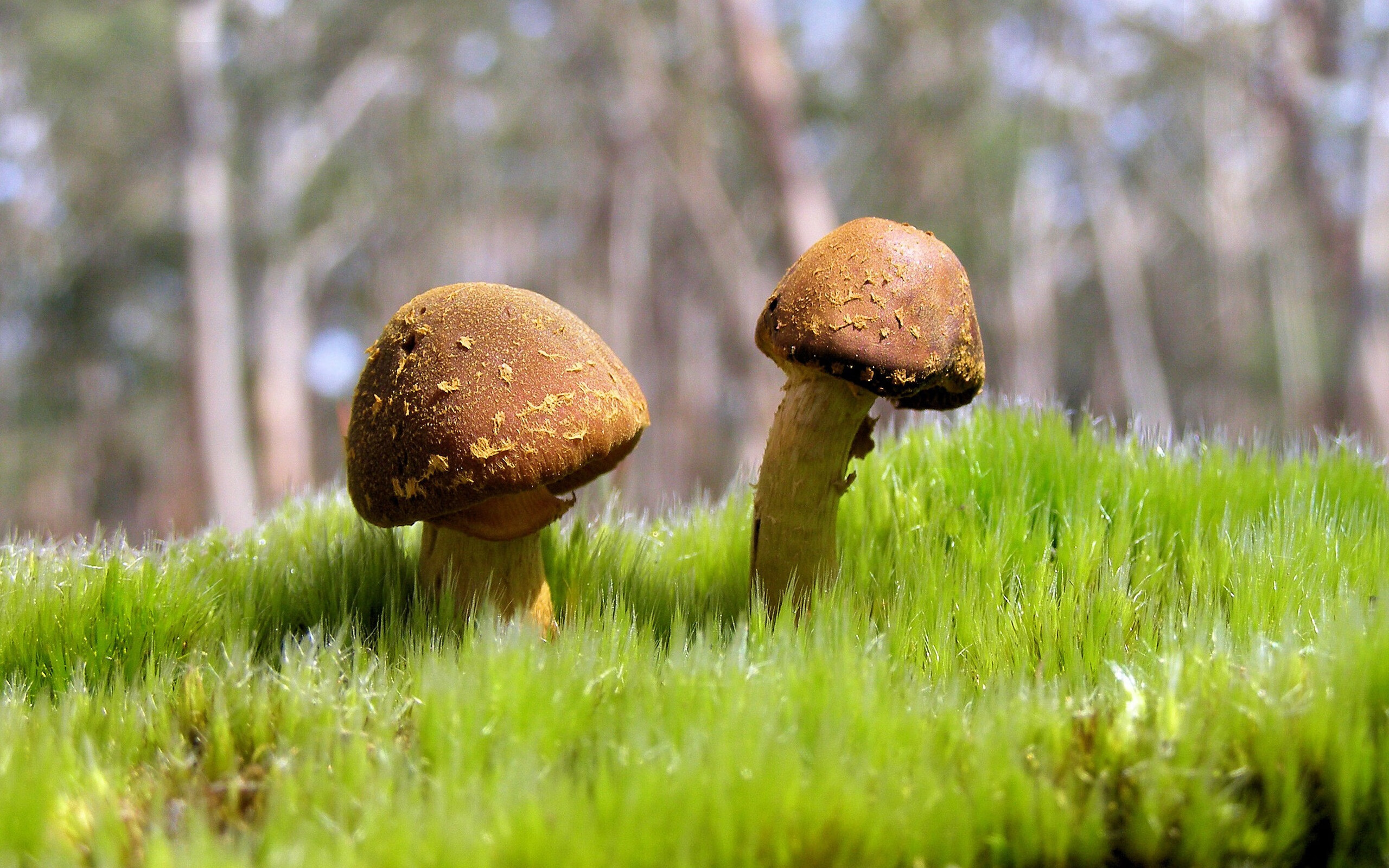 九游娱乐官网入口-国安客场大胜，取得三连胜，稳定在积分榜前五位置，国安主场9连胜