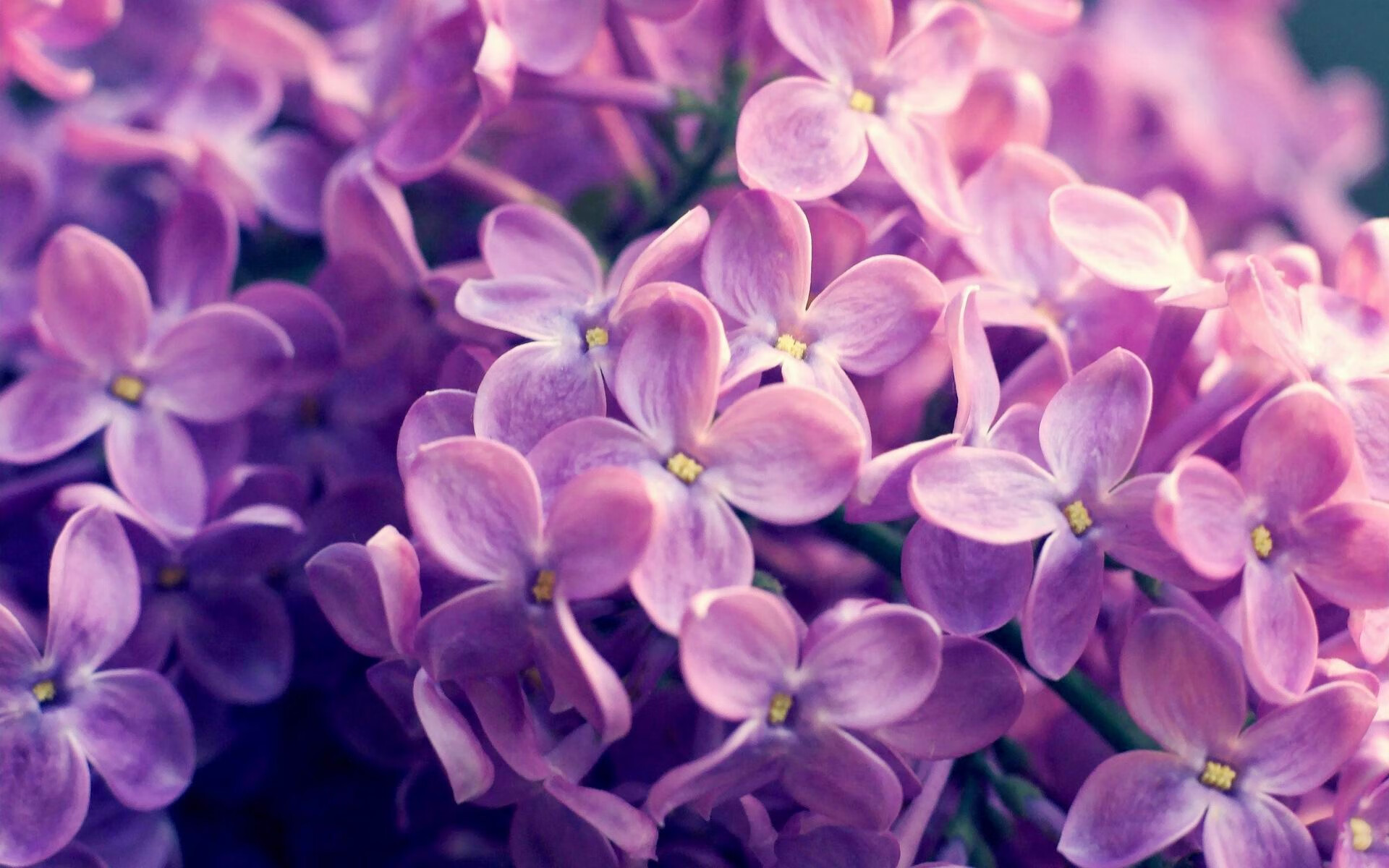 九游体育官方app-意甲联赛中一支球队遭遇主场被逆转，意甲联赛足球