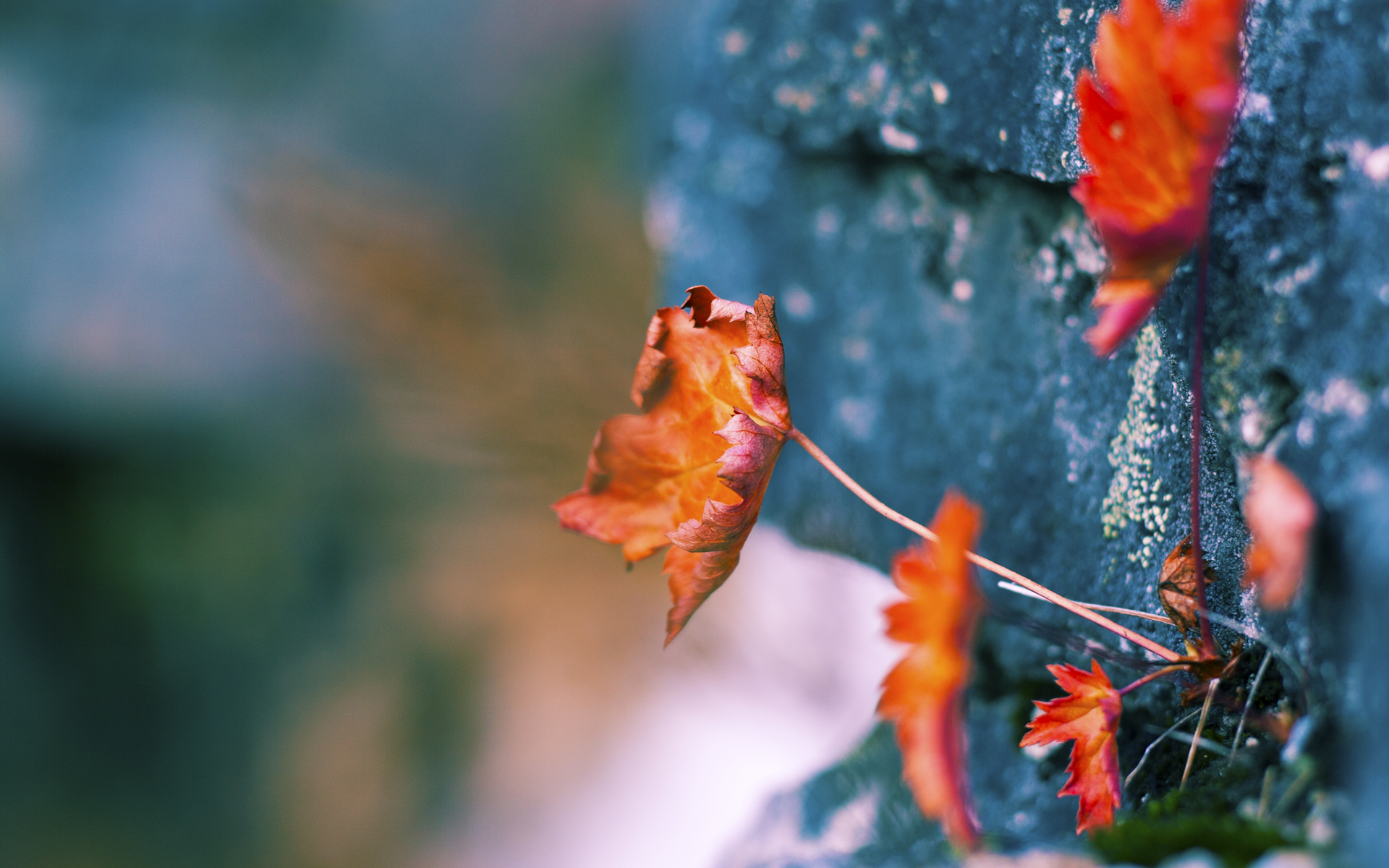 欧预赛局势逆转:一支前途未卜的球队获胜,欧预赛预测分析