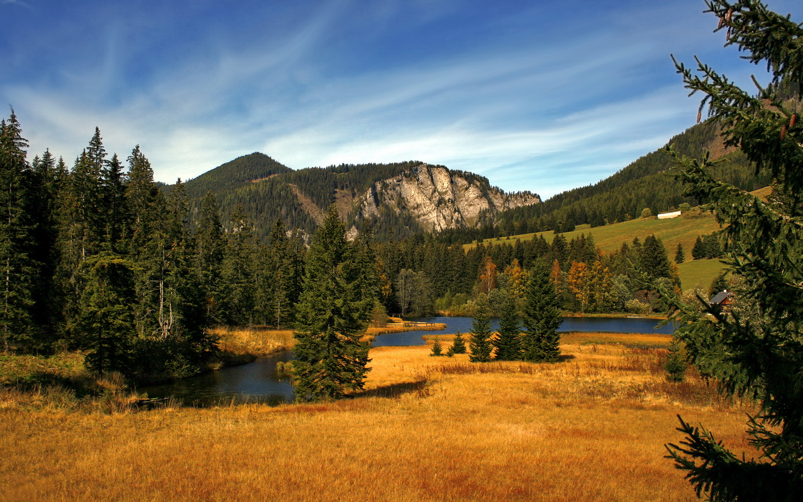 九游体育网页入口-纽卡斯尔联主场1-1战平水晶宫，状态起伏不定，纽卡斯尔联球场