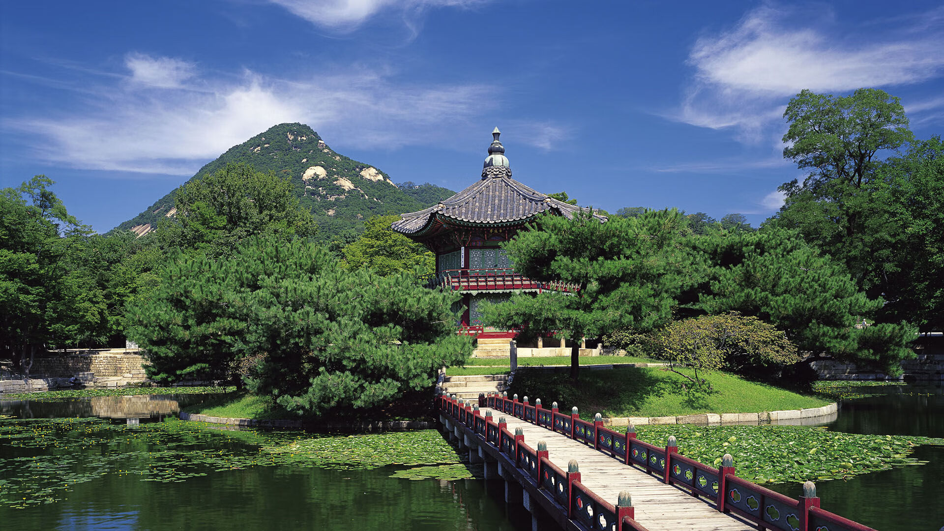 球员心理健康问题被忽视的后果,篮球运动员心理素质