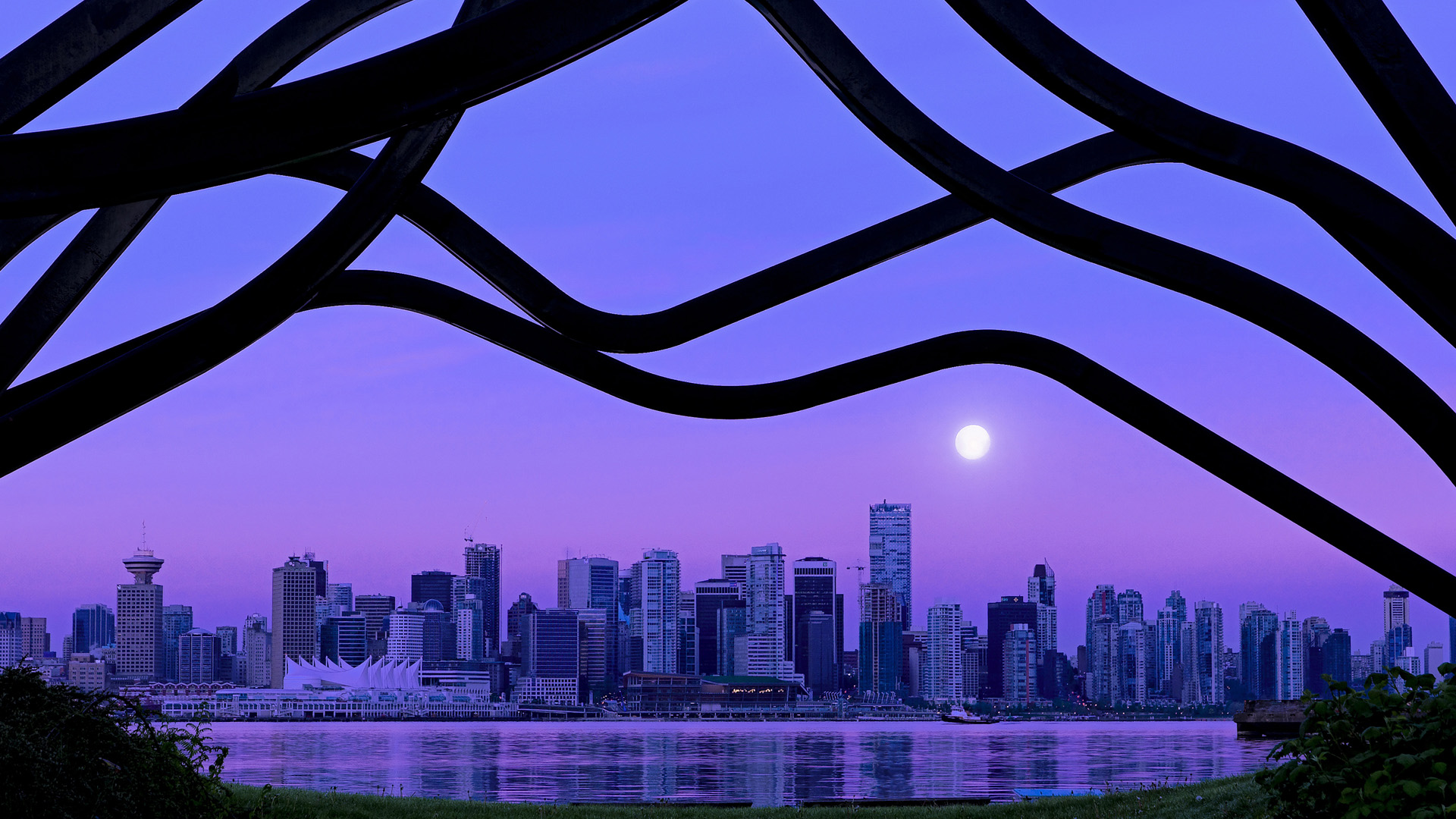 自由泳荷兰女将节奏把握精准，自由泳名将